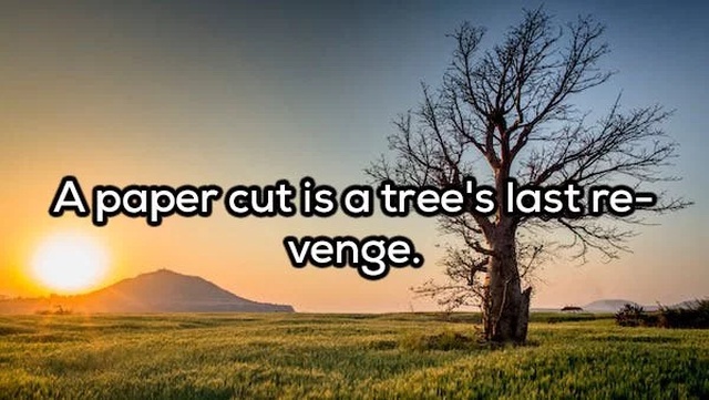 Shower Thoughts (20 pics)