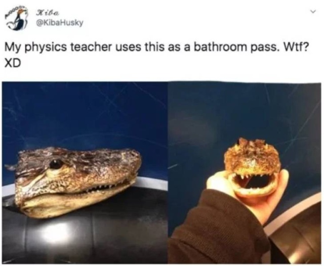 Very Unusual Hall Passes (34 pics)