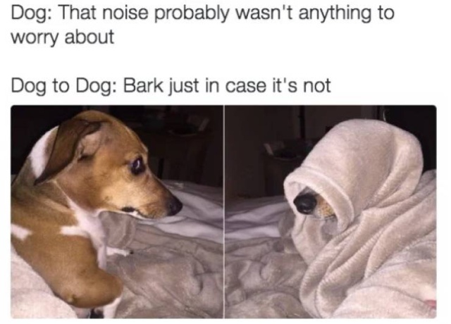 Dog Memes (31 pics)