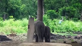 Acid Gifdump, March 04 (25 gifs)
