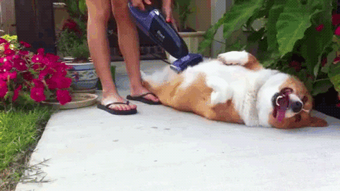 Acid Gifdump, March 04 (25 gifs)
