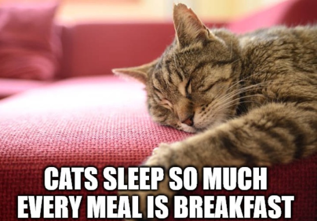 Shower Thoughts (23 pics)