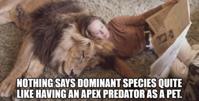Shower Thoughts (23 pics)