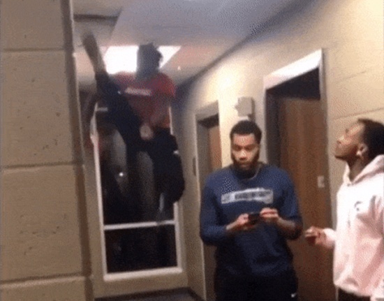 Their Skills Are Kind Of Entertaining (16 gifs)