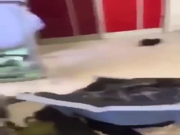 Hostel Prank 'Hello Im Your Roommate'