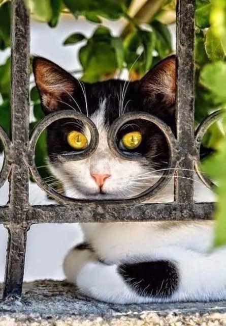 Acid Picdump (94 pics)