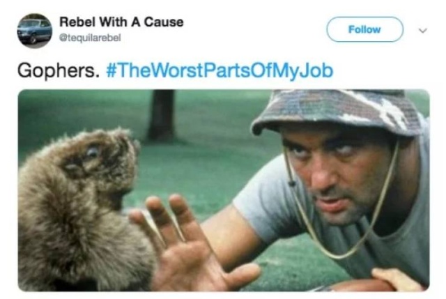 The Worst Part Of My Job (15 pics) The Worst Part Of My Job (15 pics)
