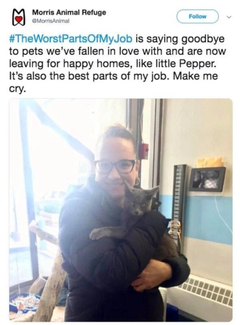 The Worst Part Of My Job (15 pics) The Worst Part Of My Job (15 pics)