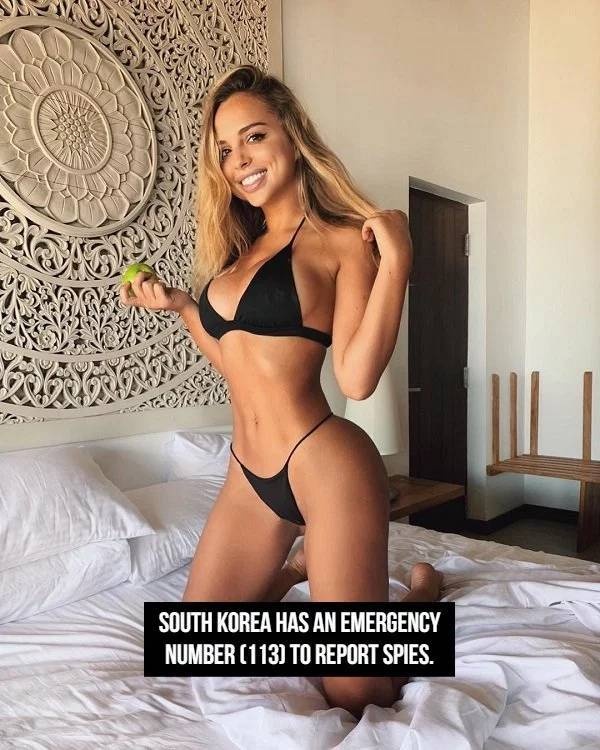 Hot Girls And Facts (23 pics)