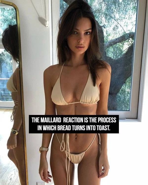 Hot Girls And Facts (23 pics)