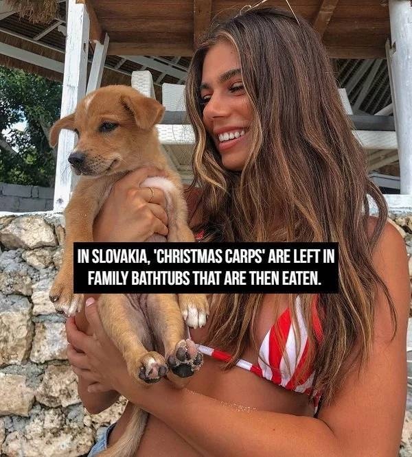 Hot Girls And Facts (23 pics)