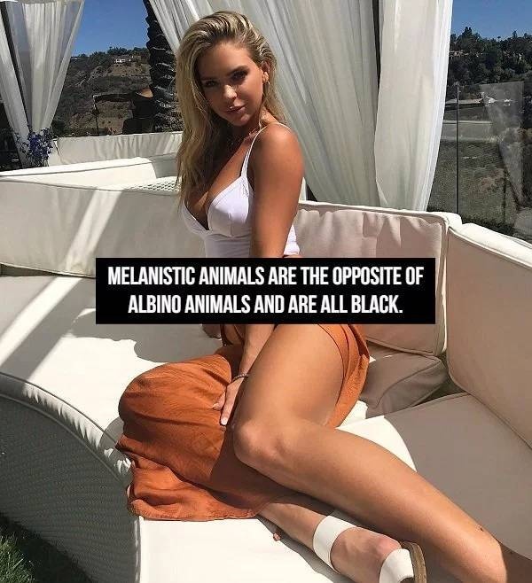 Hot Girls And Facts (23 pics)