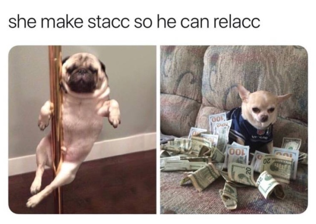 Funny Memes (51 pics)
