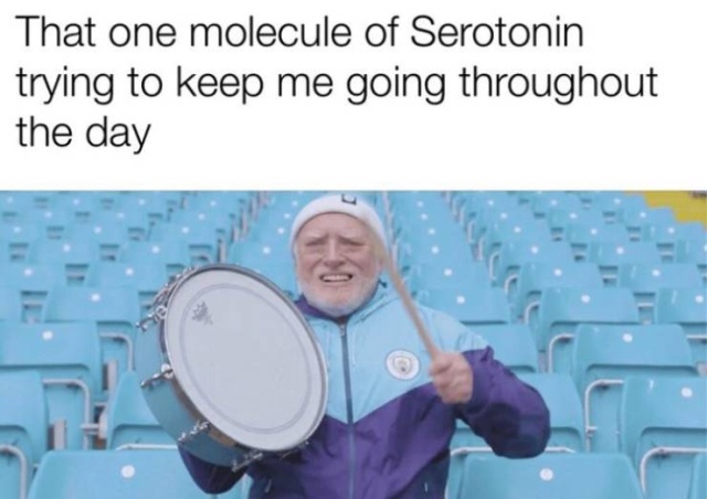 Funny Memes (51 pics)