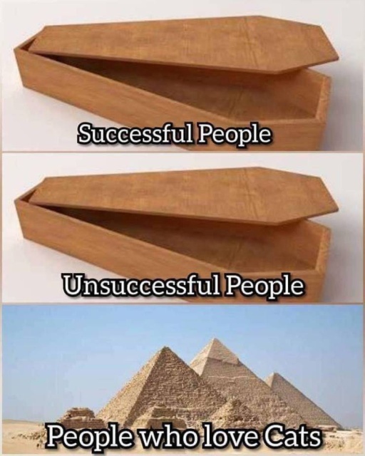 Funny Memes (51 pics)