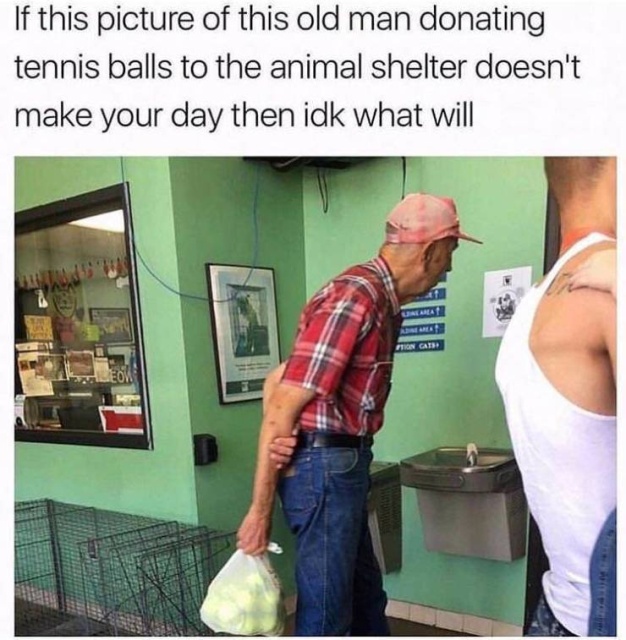 Funny Memes (51 pics)