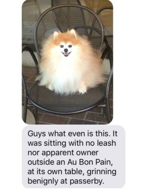 Funny Memes (51 pics)