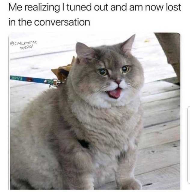 Funny Memes (51 pics)