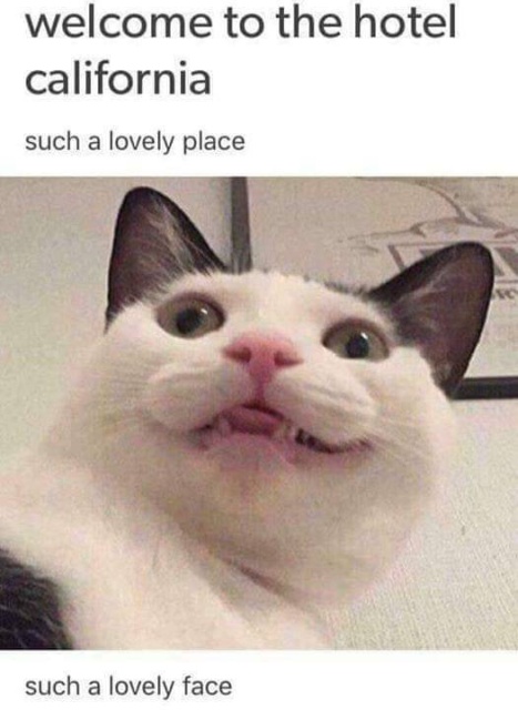 Funny Memes (51 pics)