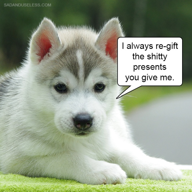 Delivering Bad News With Baby Animals (19 pics)
