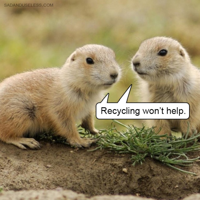 Delivering Bad News With Baby Animals (19 pics)