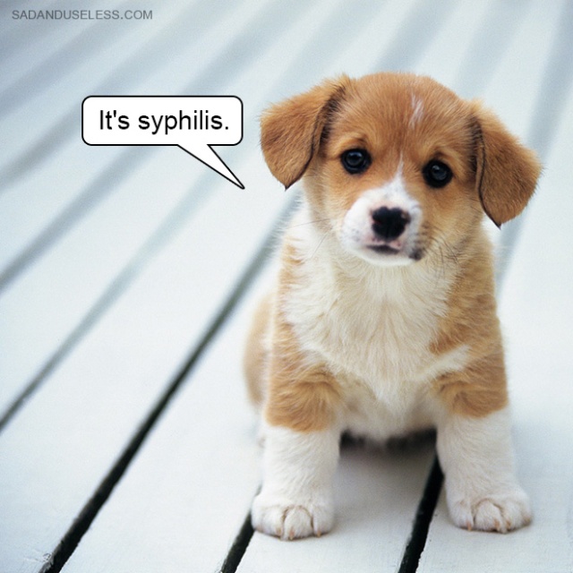 Delivering Bad News With Baby Animals (19 pics)