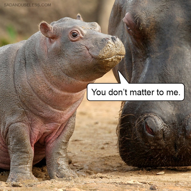 Delivering Bad News With Baby Animals (19 pics)