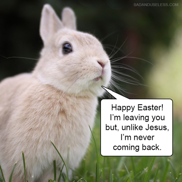 Delivering Bad News With Baby Animals (19 pics)