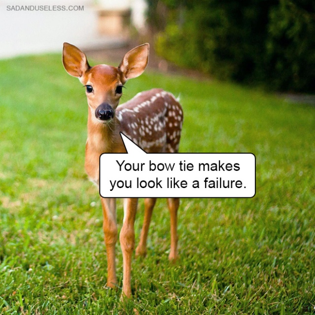 Delivering Bad News With Baby Animals (19 pics)