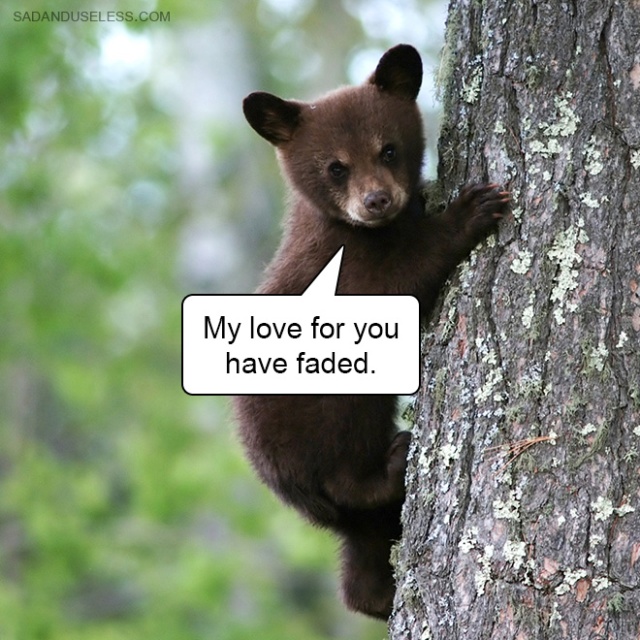Delivering Bad News With Baby Animals (19 pics)
