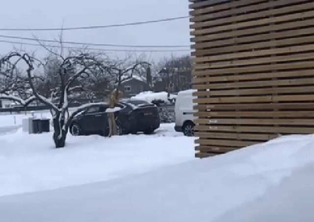 Acid Gifdump, March 6 (25 gifs)