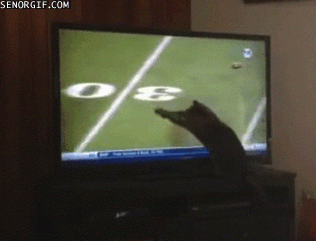 Acid Gifdump, March 6 (25 gifs)