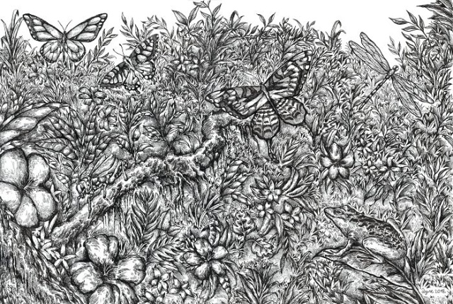 Started At 4, Here Is What He Has Drawn By Age 16 (32 pics)