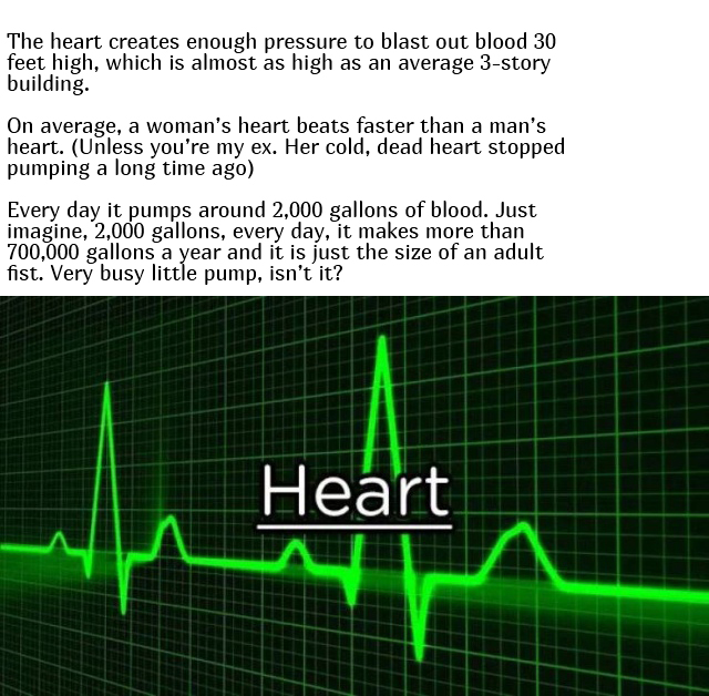 Interesting Facts About Our Body (10 pics)
