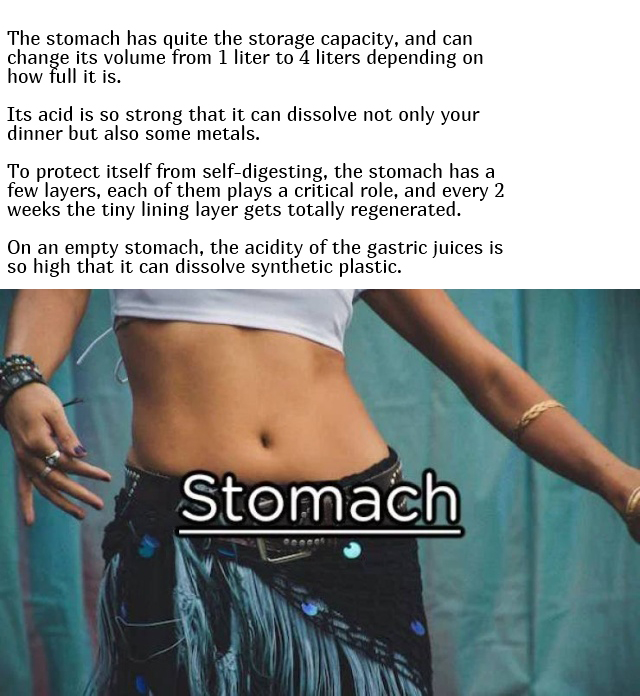 Interesting Facts About Our Body (10 pics)