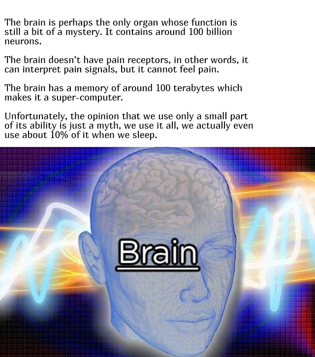 Interesting Facts About Our Body (10 pics)