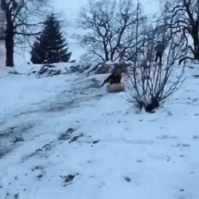 Acid Gifdump, March 7 (25 gifs)