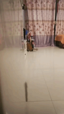 Acid Gifdump, March 7 (25 gifs)