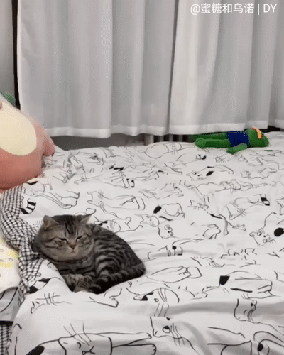 Acid Gifdump, March 7 (25 gifs)