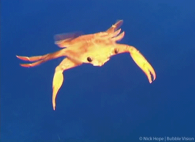 Acid Gifdump, March 7 (25 gifs)