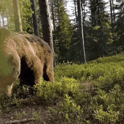 Acid Gifdump, March 7 (25 gifs)