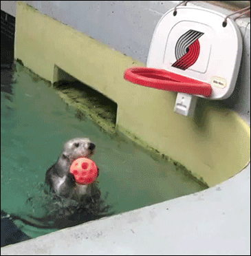 Acid Gifdump, March 7 (25 gifs)