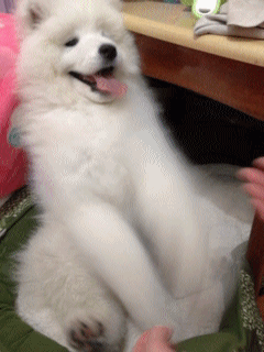 Acid Gifdump, March 7 (25 gifs)