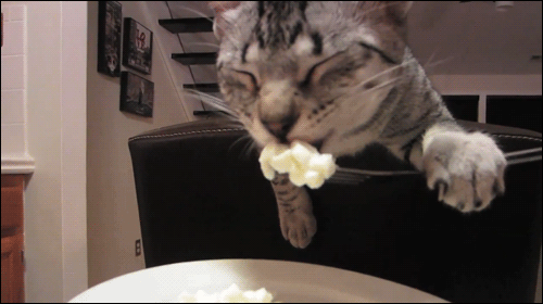 Acid Gifdump, March 7 (25 gifs)