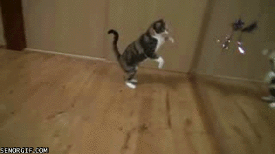 Acid Gifdump, March 7 (25 gifs)
