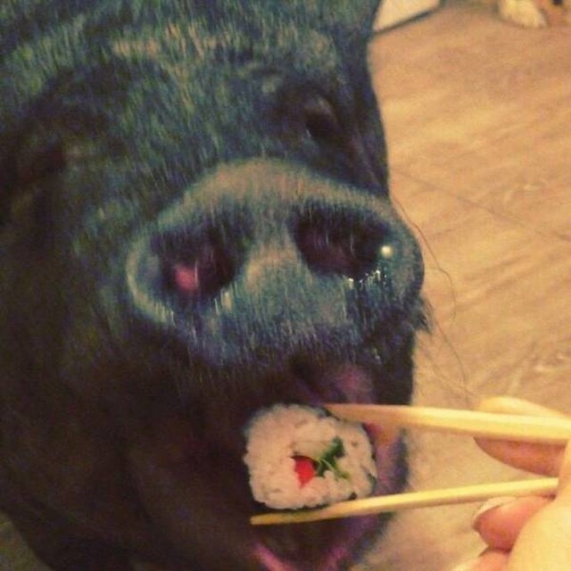 Acid Picdump (90 pics)