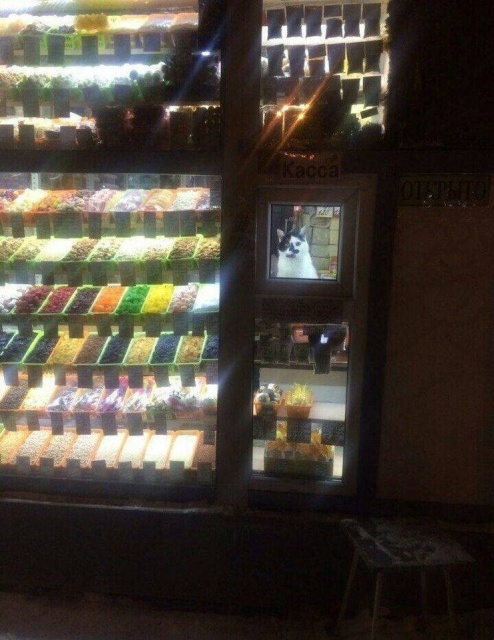 Acid Picdump (90 pics)