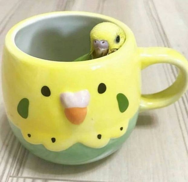 Acid Picdump (90 pics)
