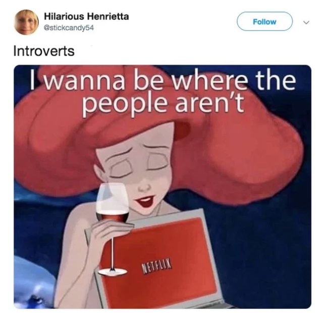 Tweets About Being An Introvert (28 pics)