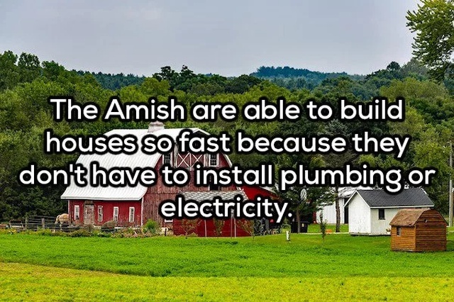 Shower Thoughts (20 pics)